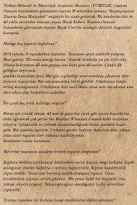 aksam_2